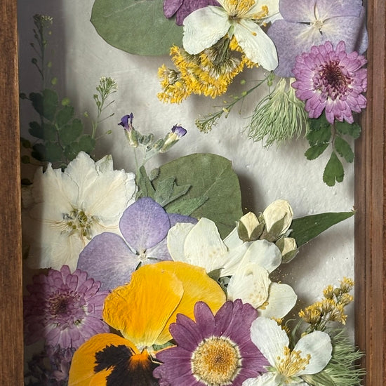 Drama geheimnisvoller Blumen