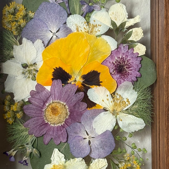 Drama geheimnisvoller Blumen