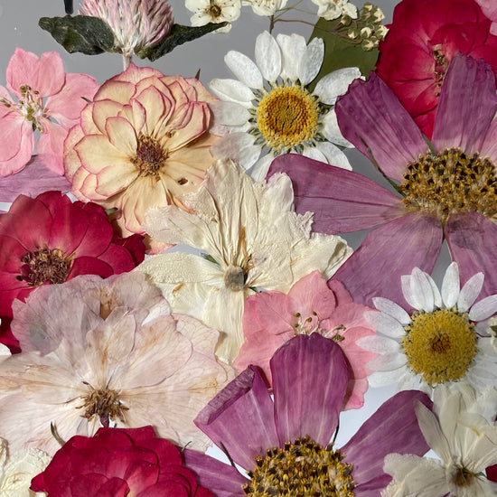 Führe mich durchs Leben