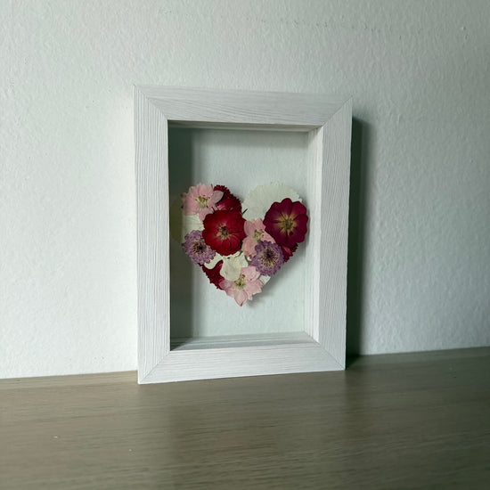 Blühen unter dem Schnee