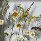 Wiesenblume