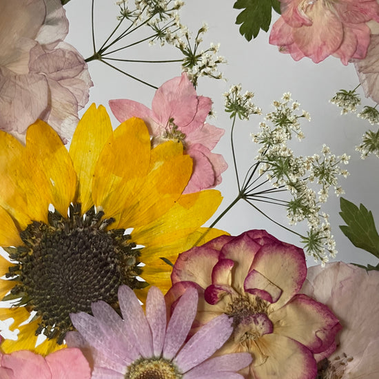 Tanzen auf der Wasseroberfläche