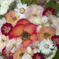 Wie eine Sonnenblumenuhr