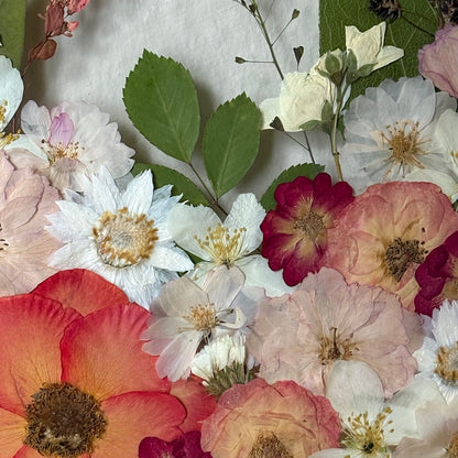 Wie eine Sonnenblumenuhr