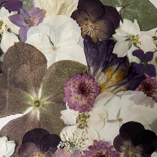 Wiesengöttin der Schönheit