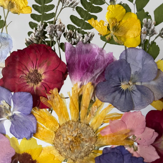 Tanzen auf der Wasseroberfläche