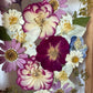 Drama geheimnisvoller Blumen
