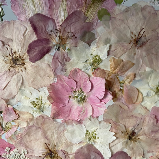 Wiesengöttin der Schönheit