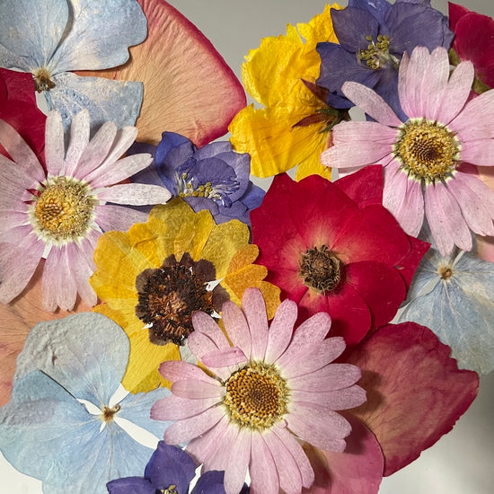 Tanzen auf der Wasseroberfläche