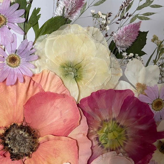 Nachtgarten der Träume