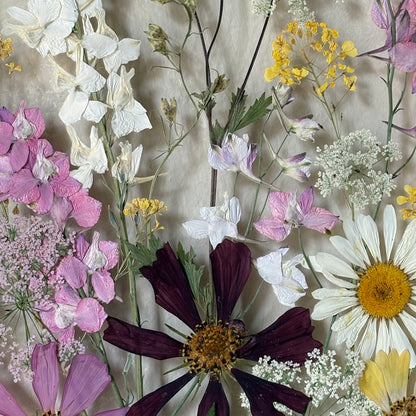 Blumenpoesie in drei Farben