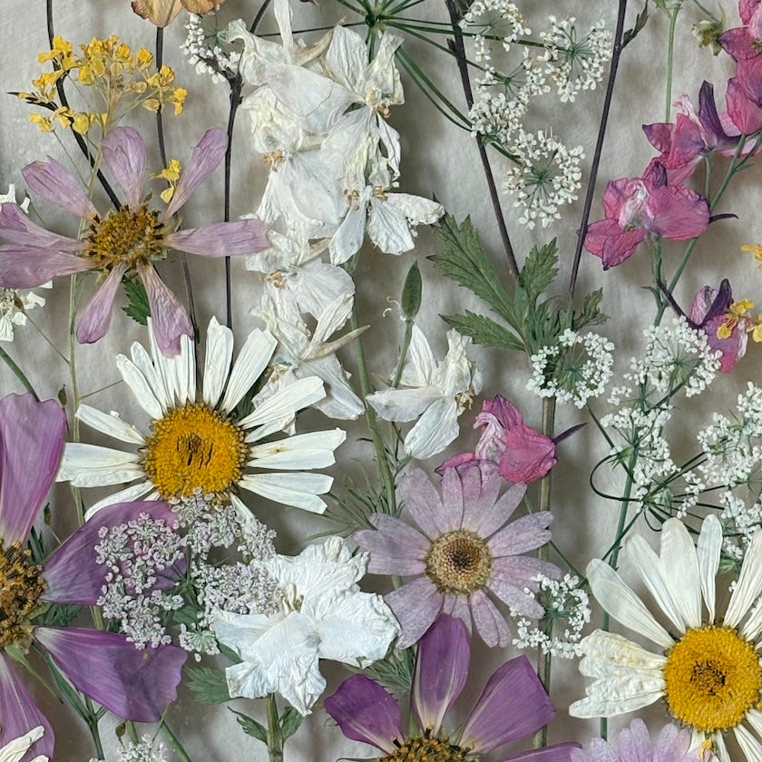 Blumenpoesie in drei Farben