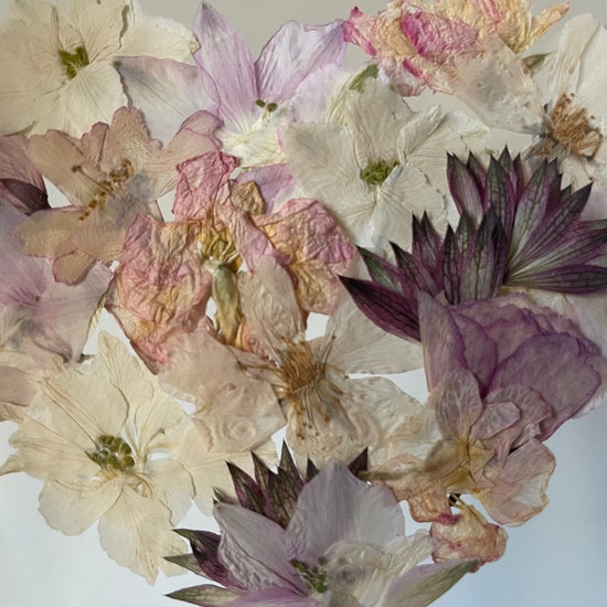 Blühen unter dem Schnee