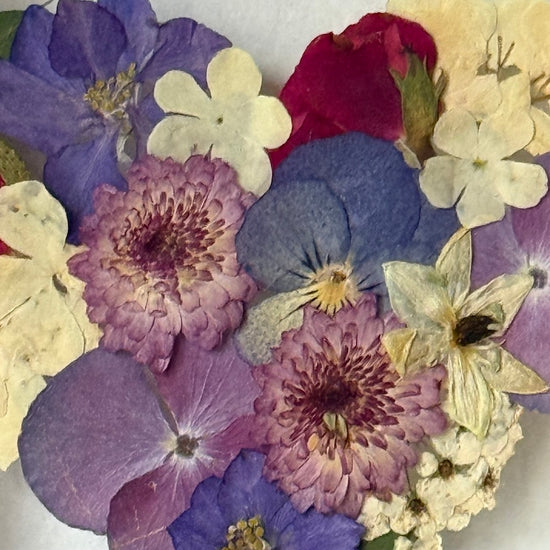 Blühen unter dem Schnee