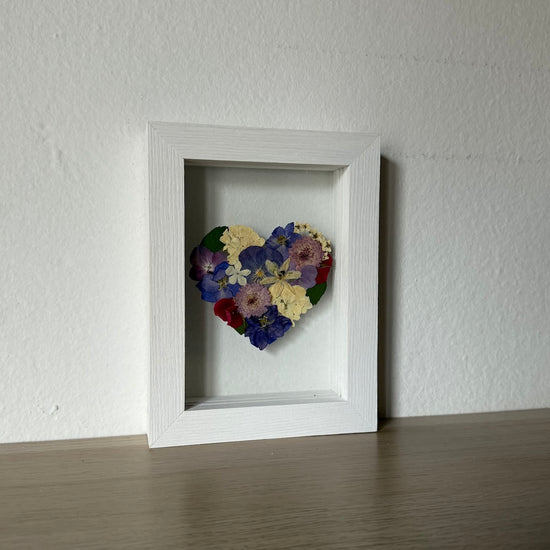 Blühen unter dem Schnee