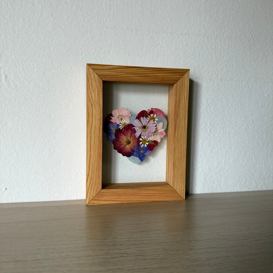 Blühen unter dem Schnee