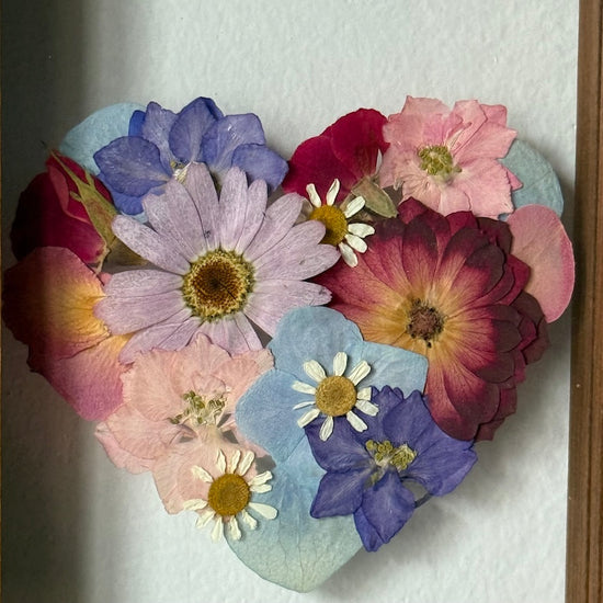 Blühen unter dem Schnee