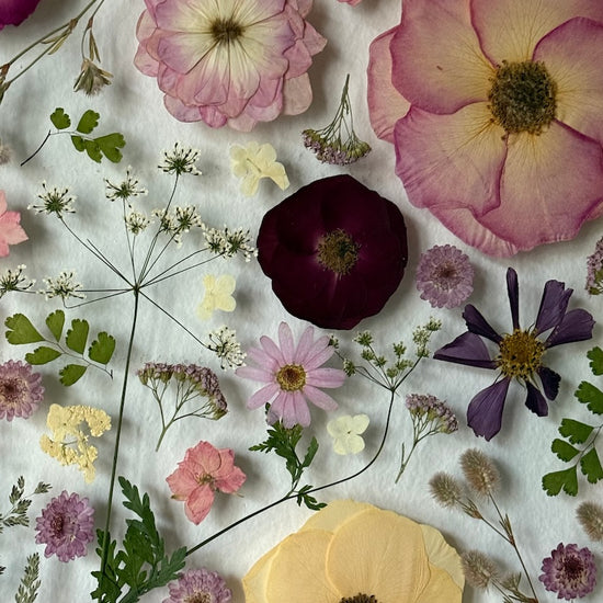 Nachtgarten der Träume