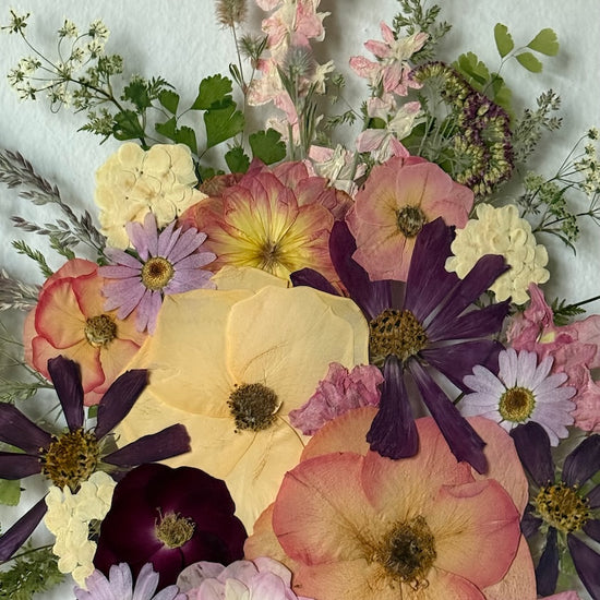 Nachtgarten der Träume