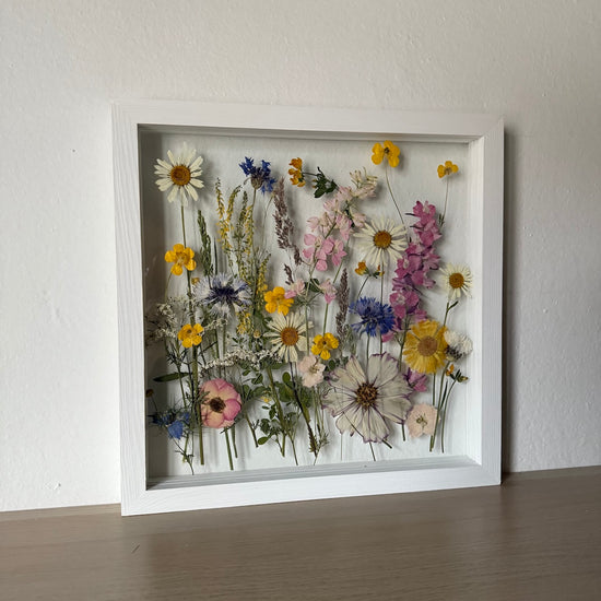 Nachtgarten der Träume