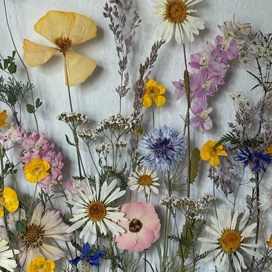 Nachtgarten der Träume