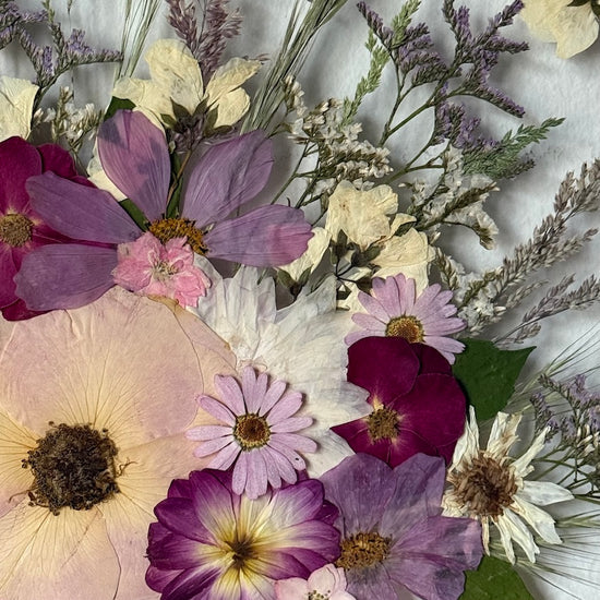 Nachtgarten der Träume