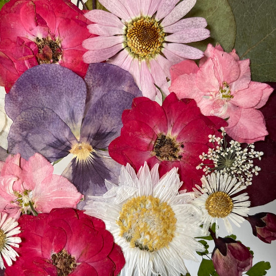 Tanzen auf der Wasseroberfläche