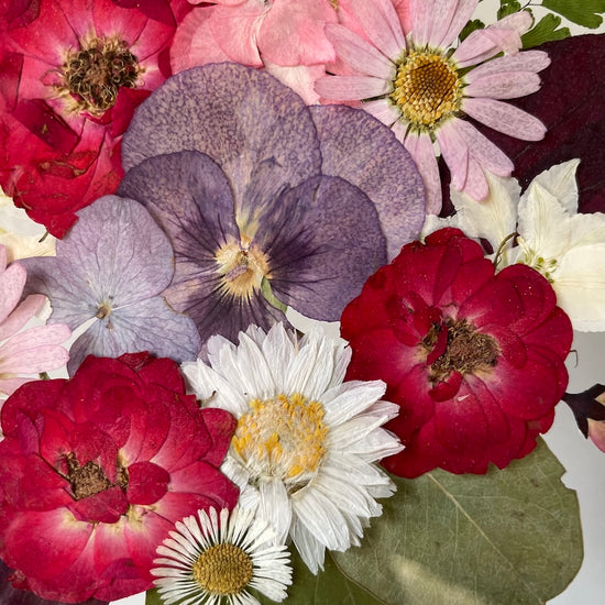 Tanzen auf der Wasseroberfläche