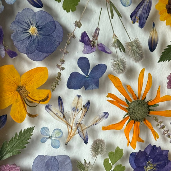 Frieden für meine Seele