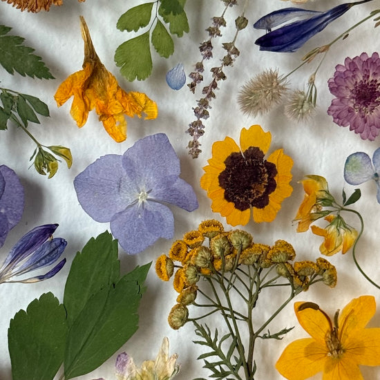 Frieden für meine Seele