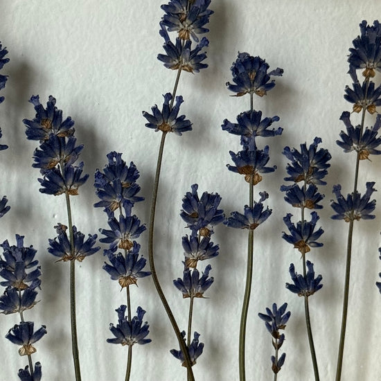 Frieden für meine Seele