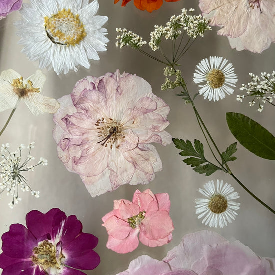 Wo Farbe ist, ist Leben