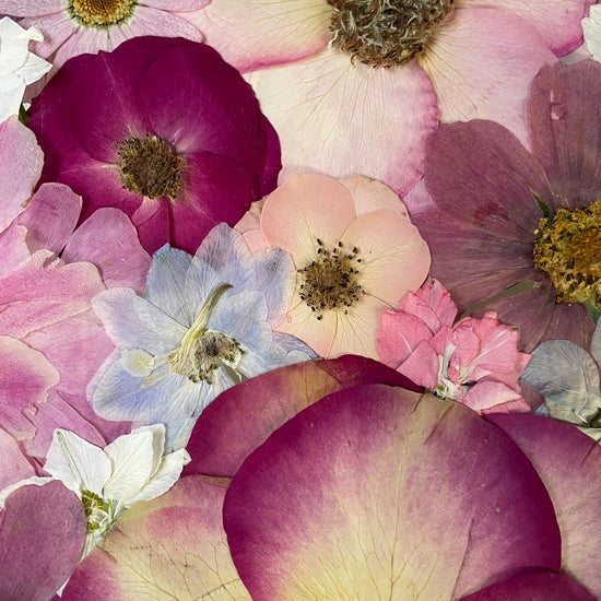 Wo Farbe ist, ist Leben