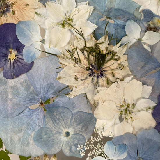 Nachtgarten der Träume