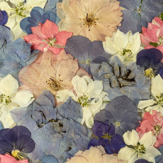 Nachtgarten der Träume