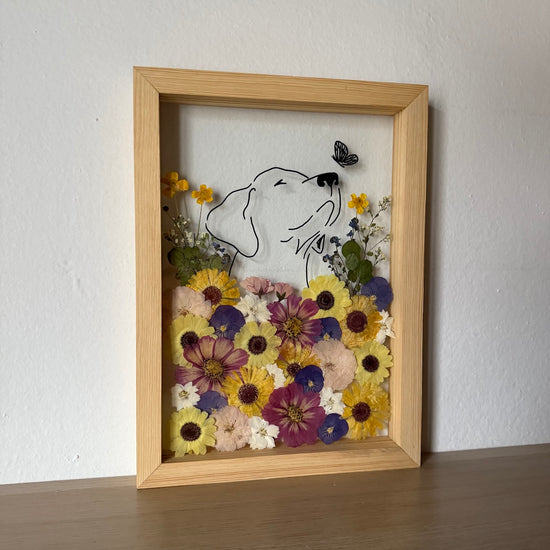 Hund im Frühlingsmantel