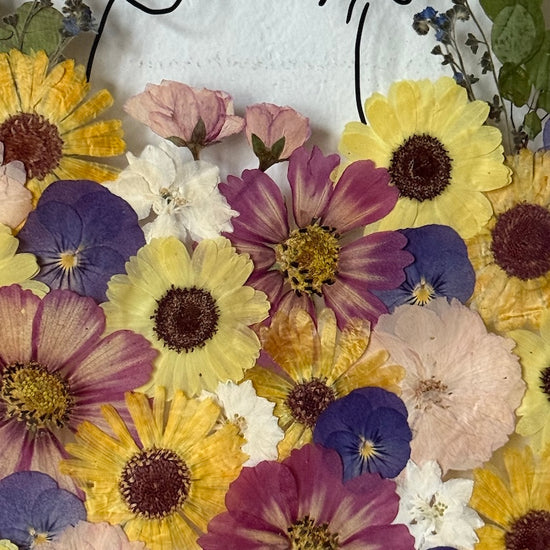 Hund im Frühlingsmantel