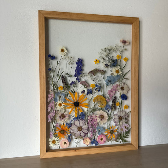 Das Geheimnis der blauen Hortensie