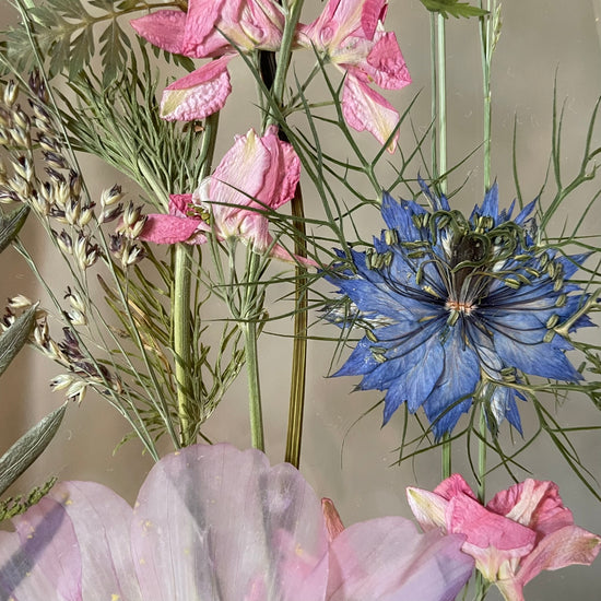 Das Geheimnis der blauen Hortensie