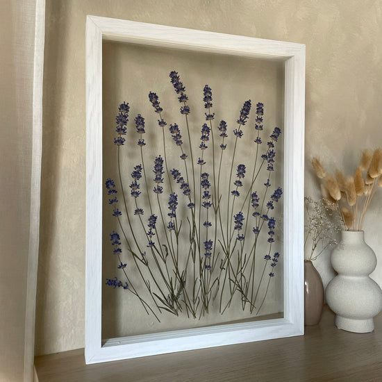 Das Geheimnis der blauen Hortensie