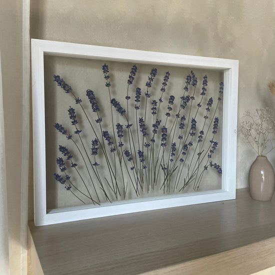 Das Geheimnis der blauen Hortensie