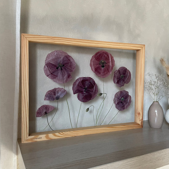 Das Geheimnis der blauen Hortensie