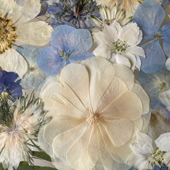 Wo Farbe ist, ist Leben