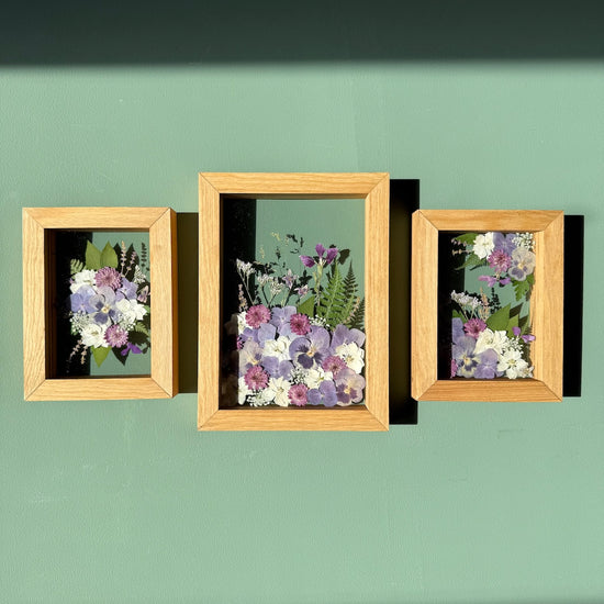 Nieswurz - Gemäldeset 1x S und 2x XS