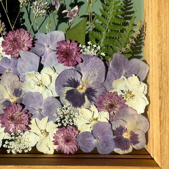 Nieswurz - Gemäldeset 1x S und 2x XS