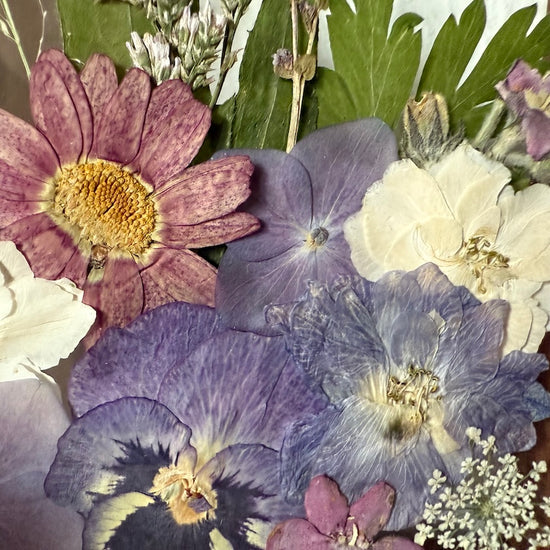 Drama geheimnisvoller Blumen