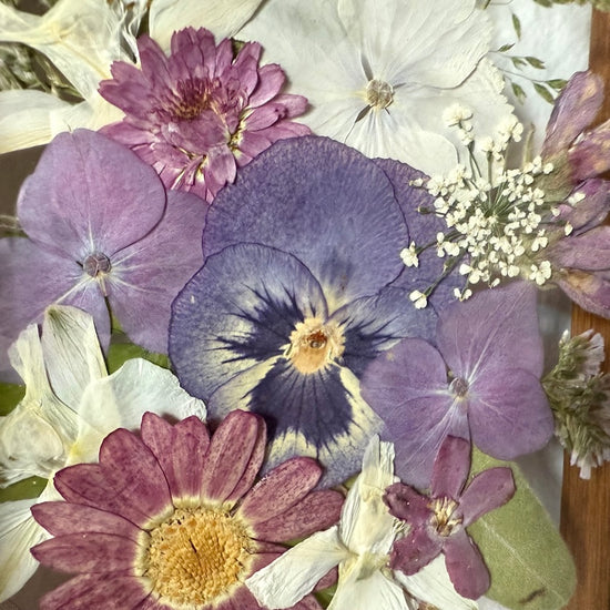 Drama geheimnisvoller Blumen