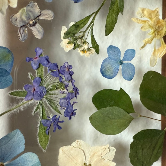 Drama geheimnisvoller Blumen