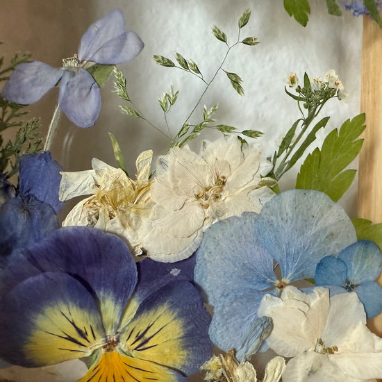 Drama geheimnisvoller Blumen