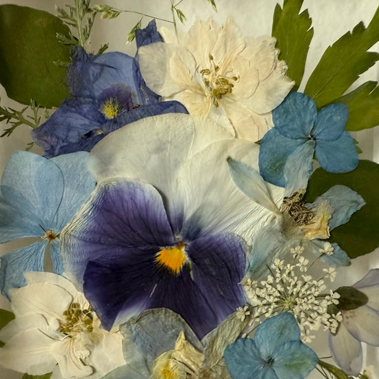 Drama geheimnisvoller Blumen